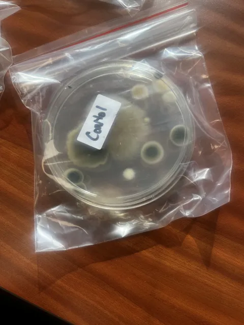 A labeled round sample dish enclosed in a clear plastic bag; dark patches are visible in the dish. The collection does not explain the test or its findings. Alternate view 2.