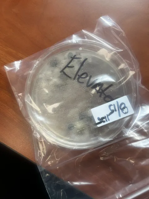 A labeled round sample dish enclosed in a clear plastic bag; dark patches are visible in the dish. The collection does not explain the test or its findings. Alternate view 7.