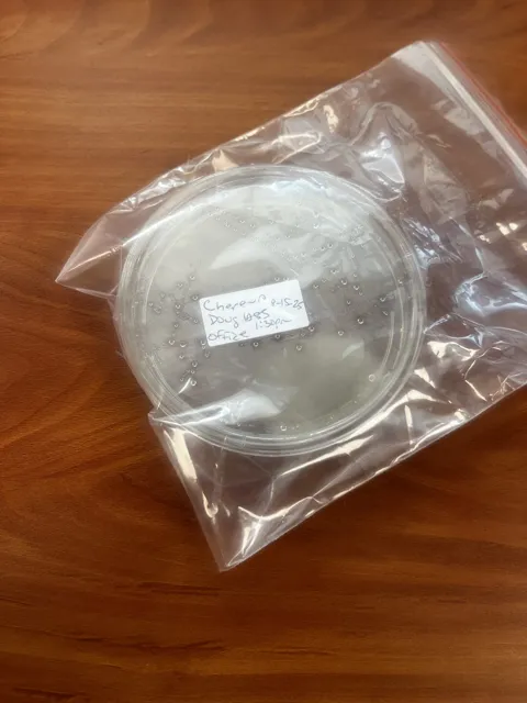 A labeled round sample dish enclosed in a clear plastic bag; dark patches are visible in the dish. The collection does not explain the test or its findings. Alternate view 15.